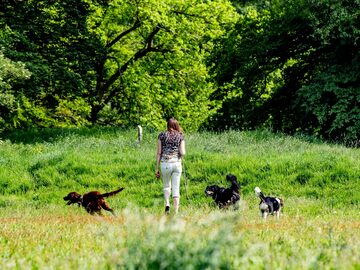 Dierenbuddy_wandeling